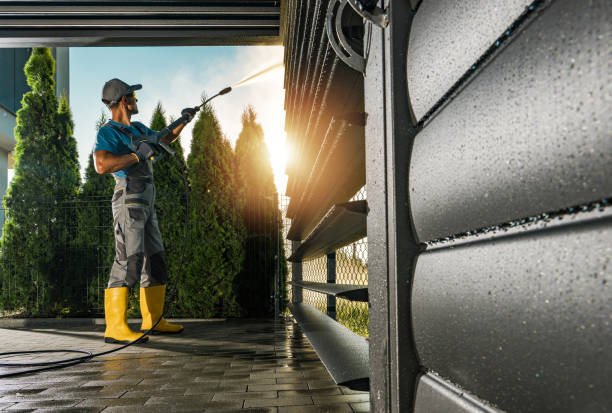 Best Driveway Pressure Washing  in Yalaha, FL